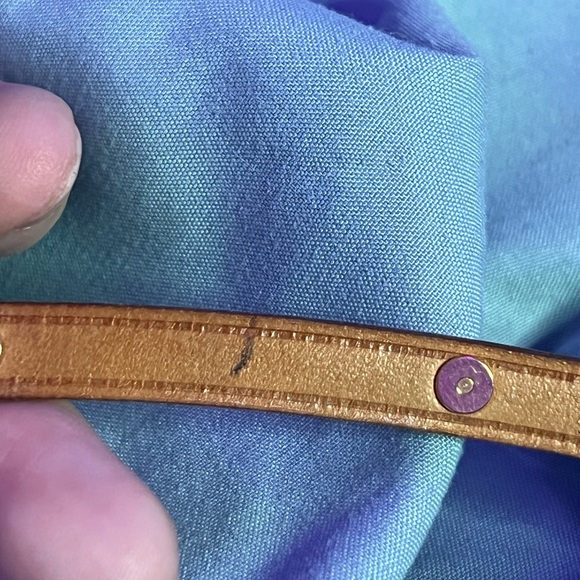 Louis Vuitton Cherry Blossom Pochette Accessoires Monogram🌸🌸🌸 - Picture 6 of 6